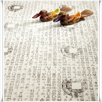 우영철학관 PC 갤러리 17